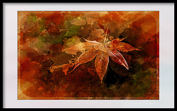 Fall Scene