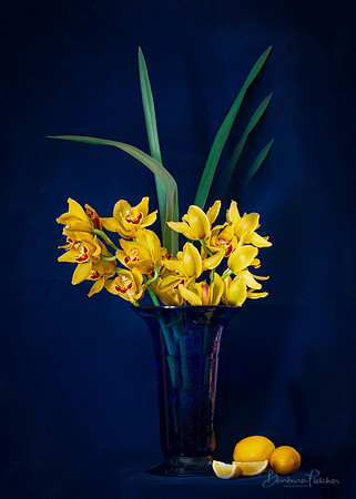 Royal Blue and Yellow Still Life