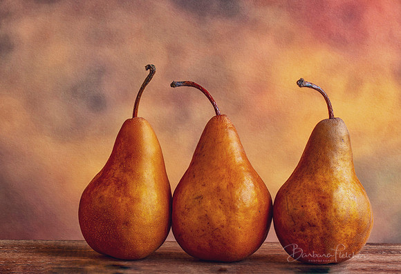 Three Pears Still Life