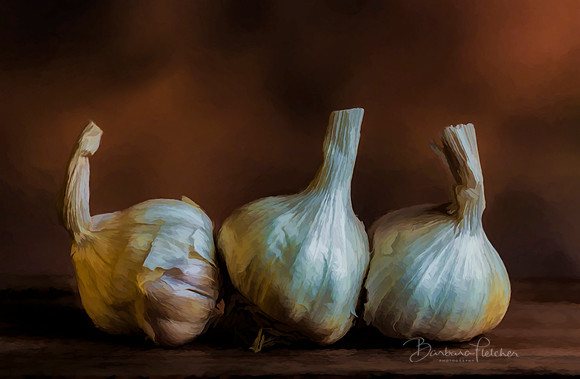 Garlic Still Life
