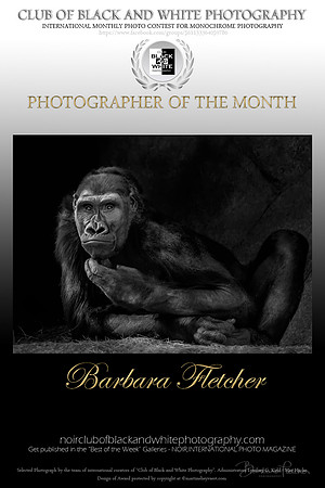 The Thinker