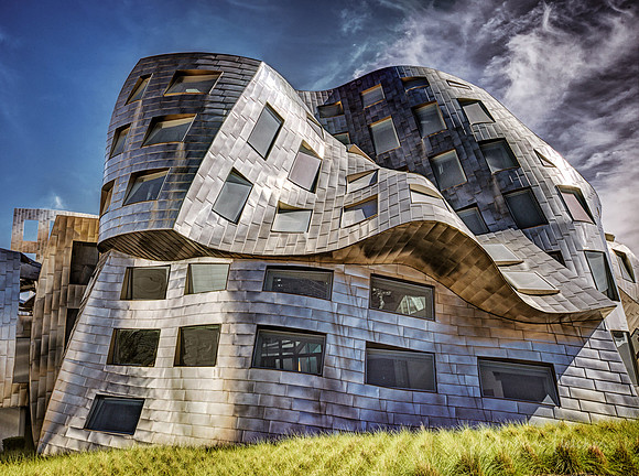 A Gehry Vision