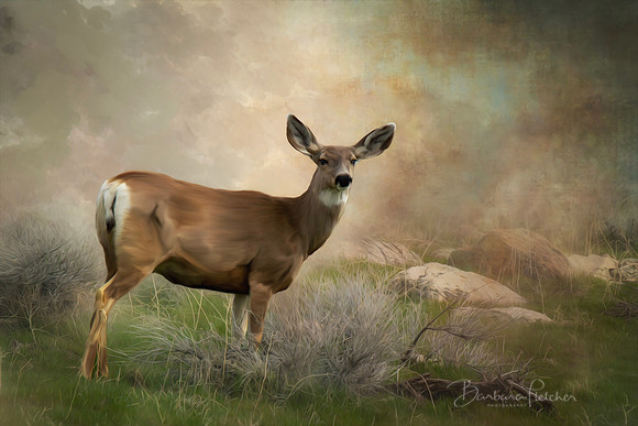 Painted Deer