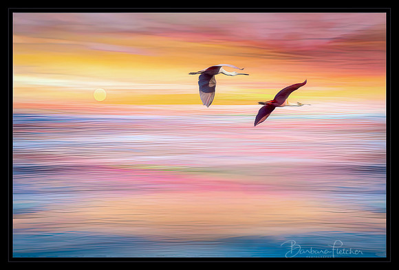 Sunset Riders