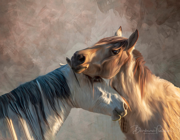 A Tender Moment
