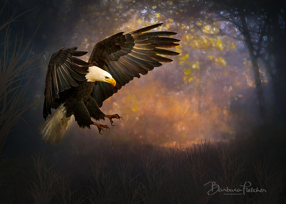 Descending