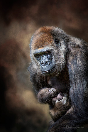 Protecting Her Young