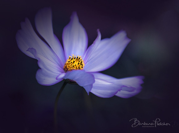 Glow From Within
