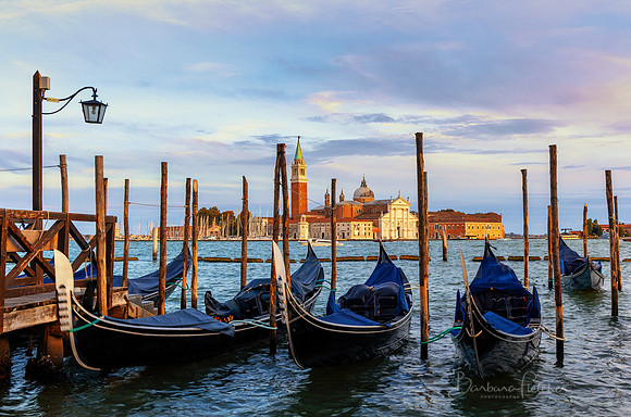 Good Morning Venice
