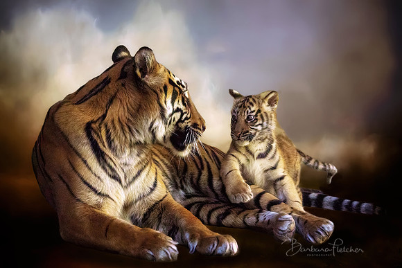 Momma and Baby